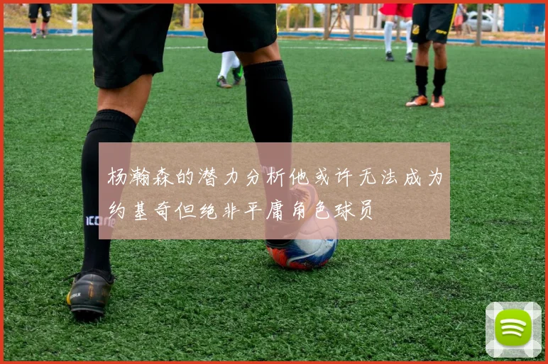 杨瀚森的潜力分析他或许无法成为约基奇但绝非平庸角色球员